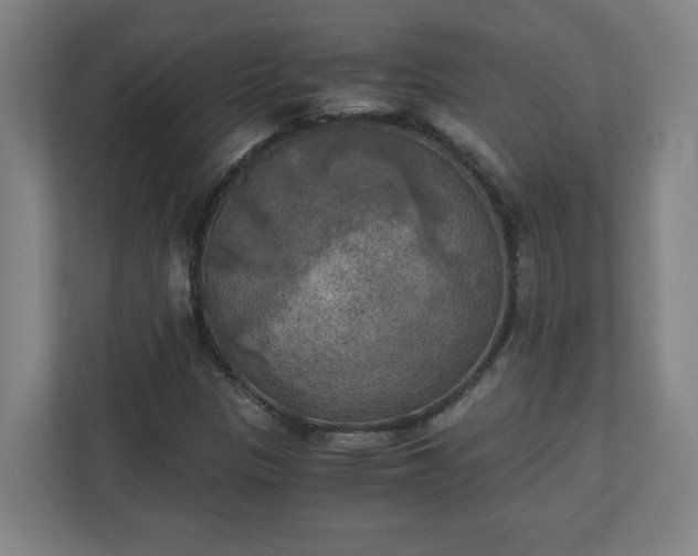 X0000111151305200907071101