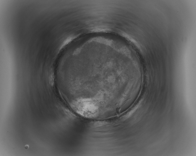 X0000111151306200907071101