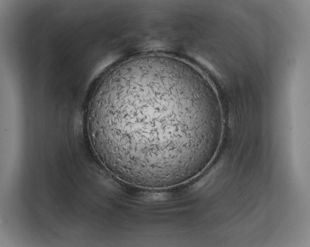 X0000111151309200907071101
