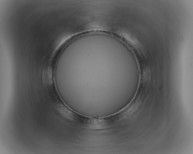 X0000111151310200907071101