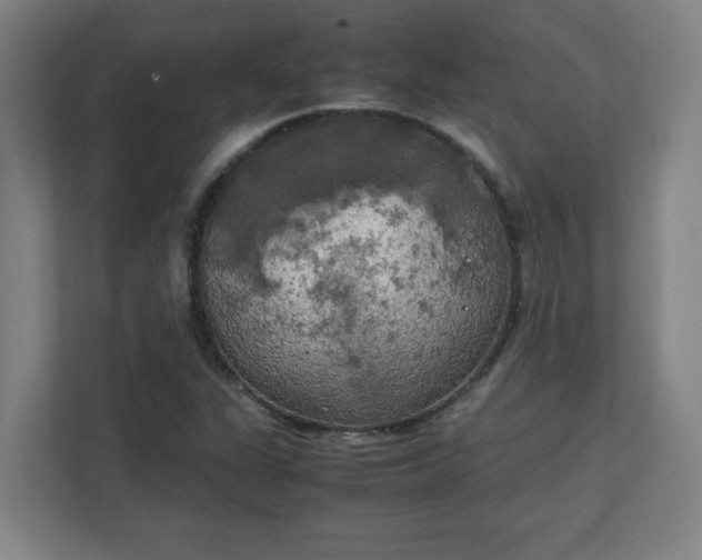 X0000111151311200907071101