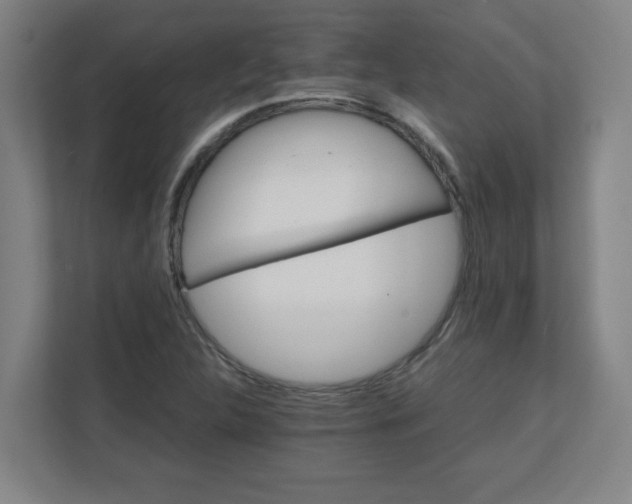 X0000111151312200907071101