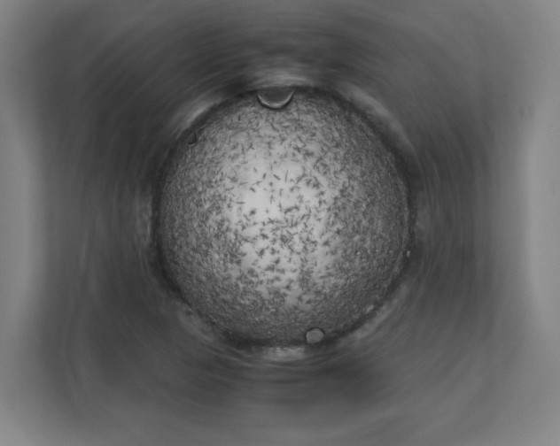 X0000111151313200907071101