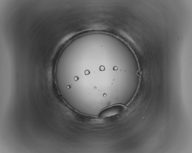 X0000111151315200907071101