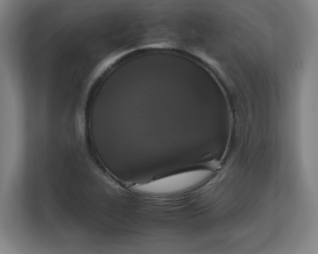 X0000111151319200907071101