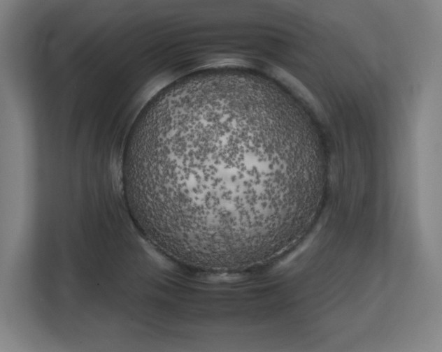 X0000111151321200907071101