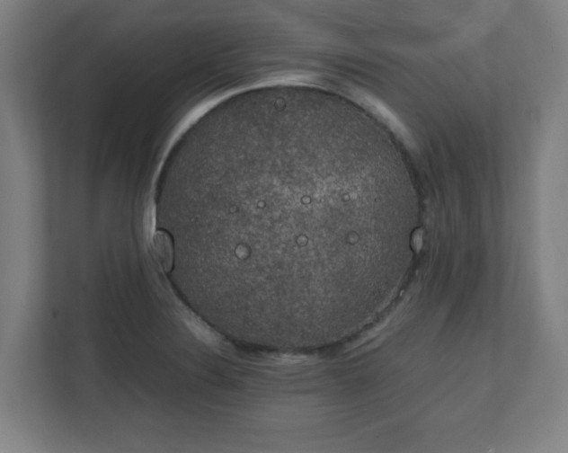 X0000111151324200907071101