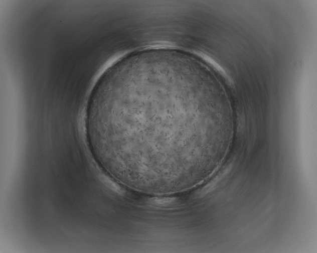 X0000111151325200907071101