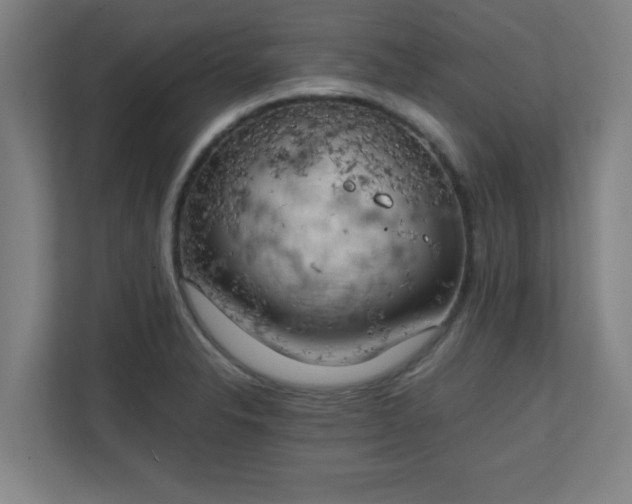 X0000111151326200907071101