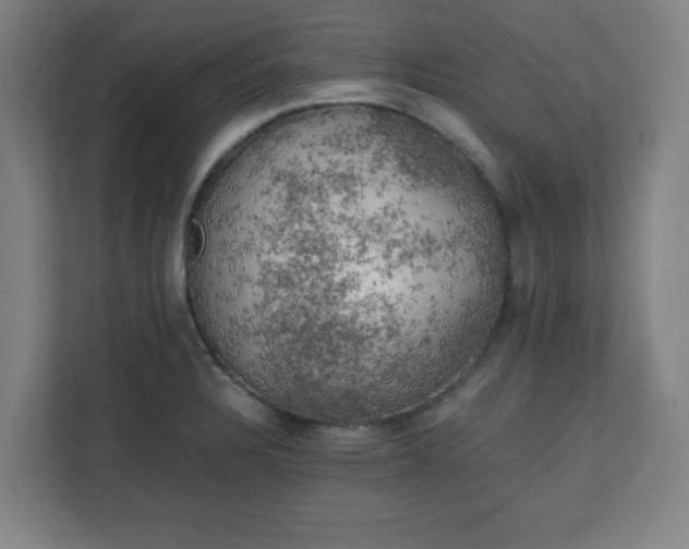 X0000111151328200907071101