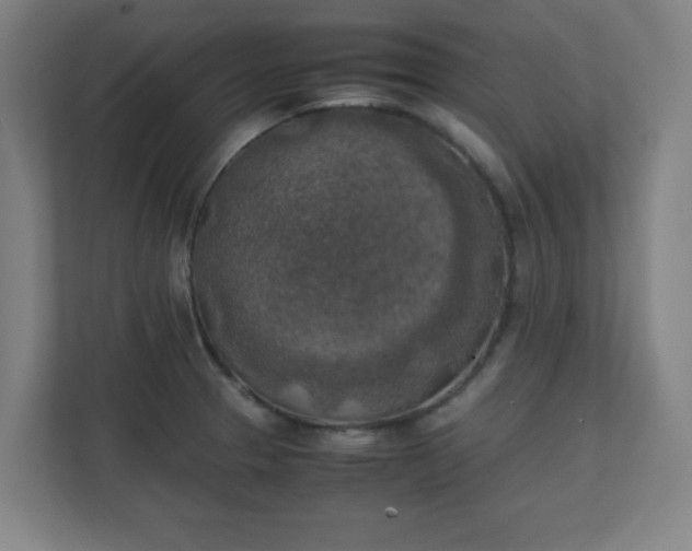 X0000111151329200907071101