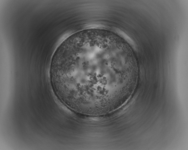 X0000111151330200907071101