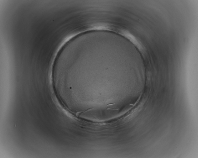 X0000111151331200907071101