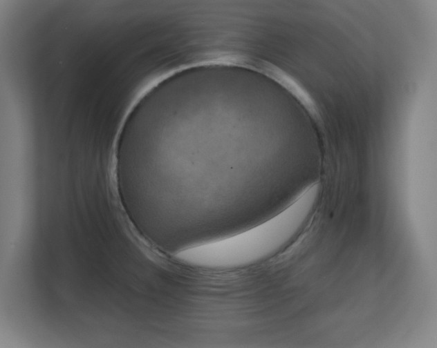X0000111151332200907071101