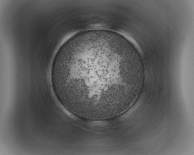 X0000111151333200907071101