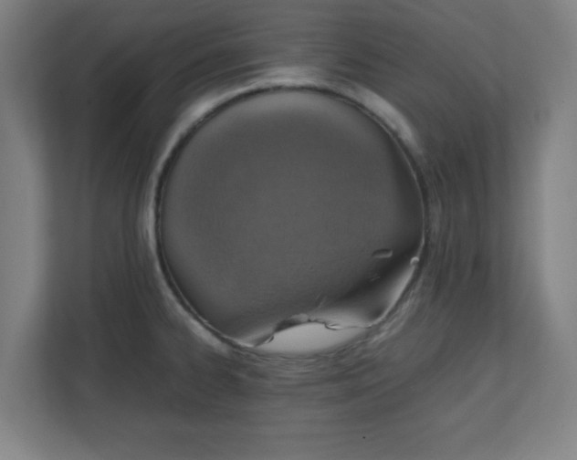 X0000111151334200907071101