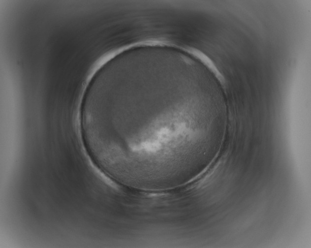 X0000111151335200907071101