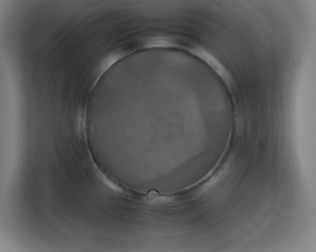 X0000111151337200907071101