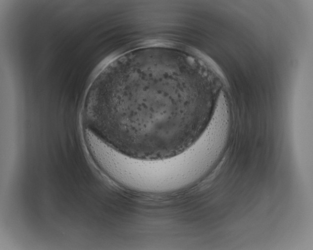 X0000111151338200907071101