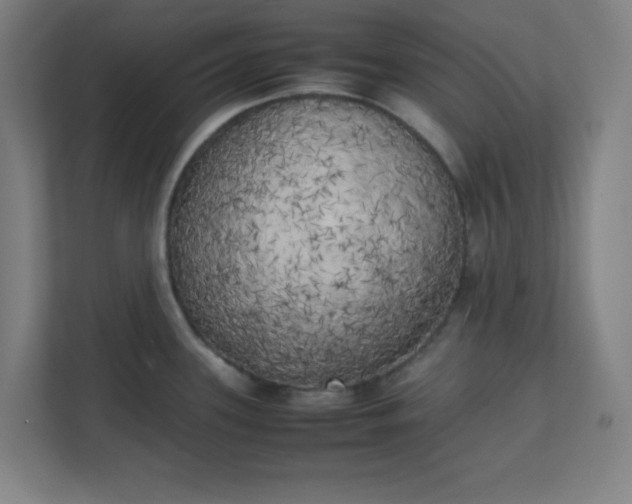 X0000111151339200907071101
