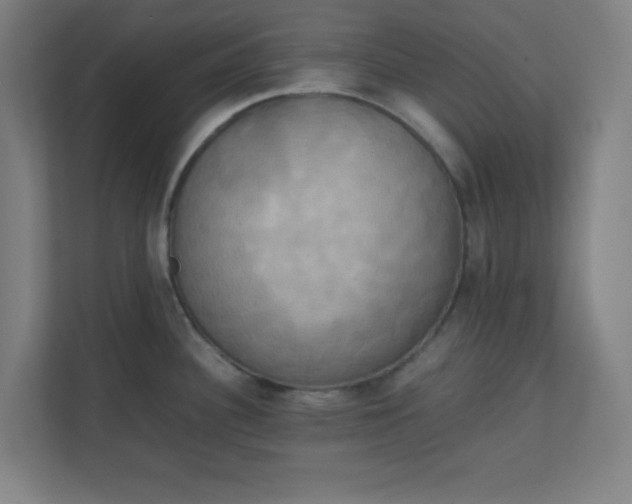 X0000111151340200907071101