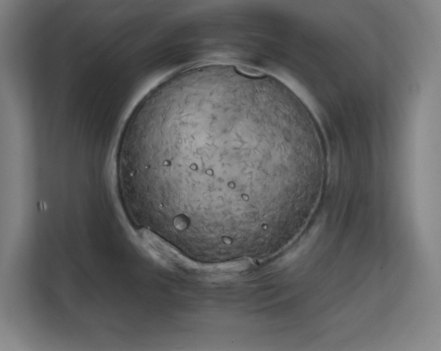 X0000111151341200907071101