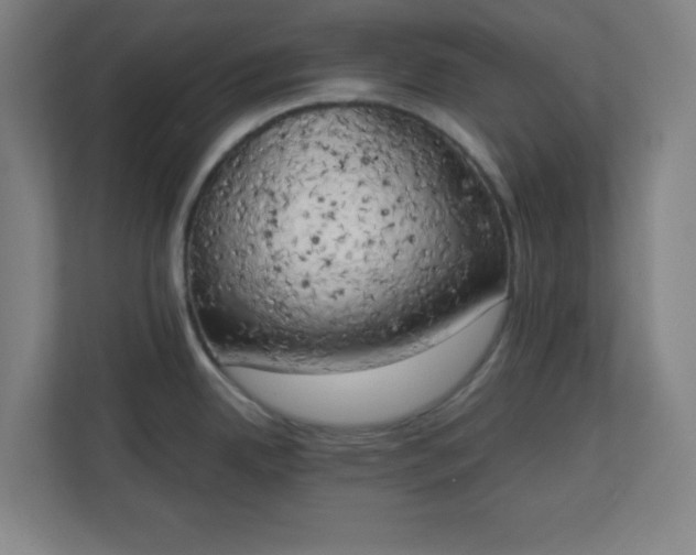 X0000111151342200907071101