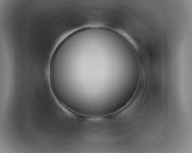 X0000111151343200907071101