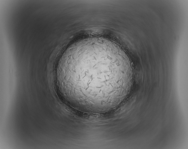 X0000111151345200907071101