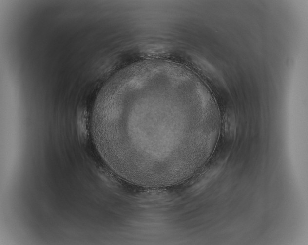 X0000111151346200907071101