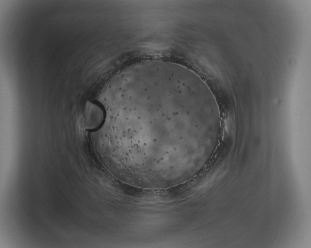 X0000111151347200907071101