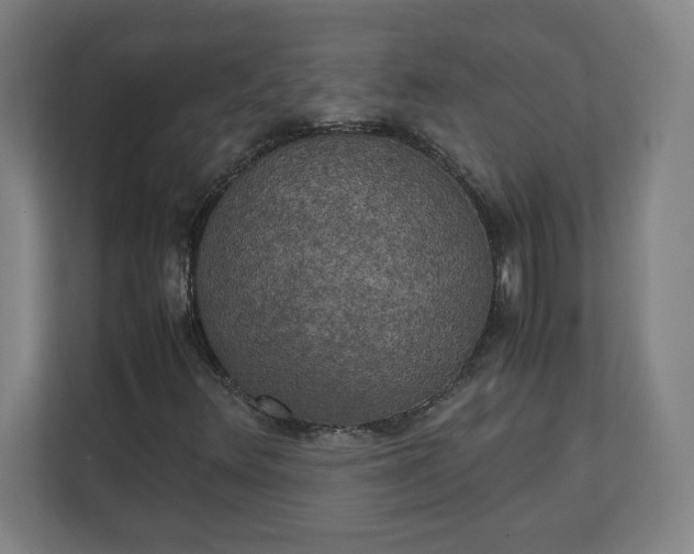 X0000111151348200907071100