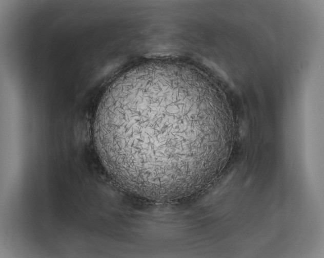 X0000111151350200907071100