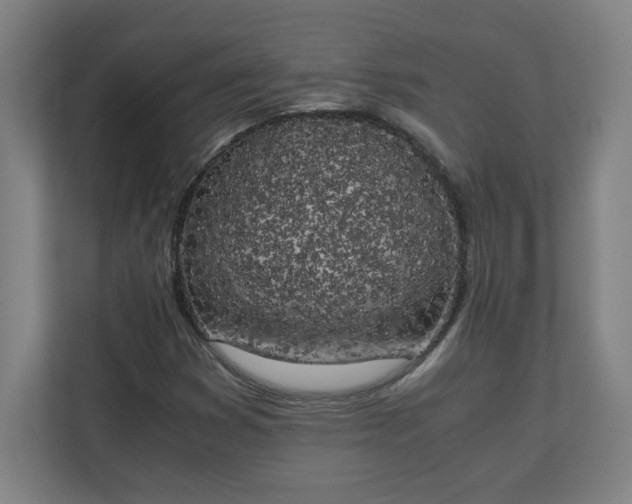 X0000111151353200907071100