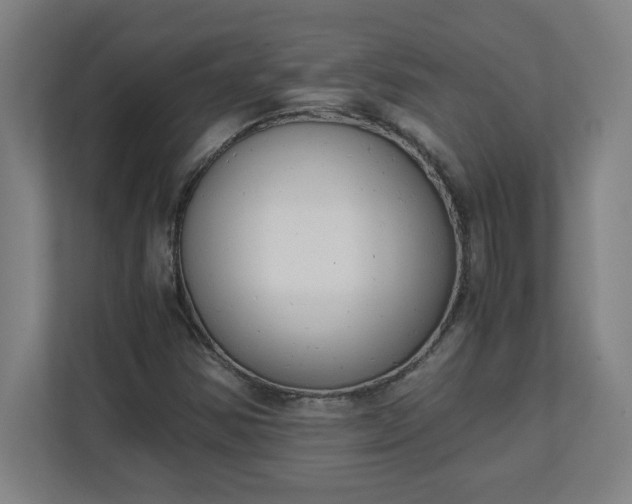 X0000111151354200907071100