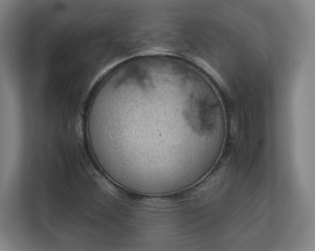 X0000111151356200907071100