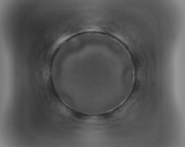 X0000111151359200907071100