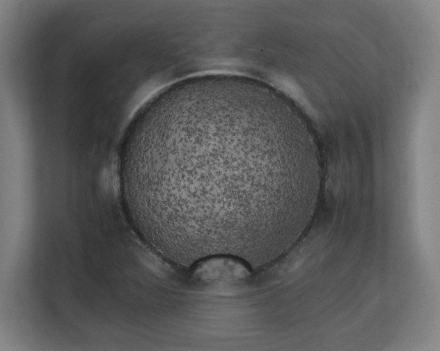 X0000111151360200907071100