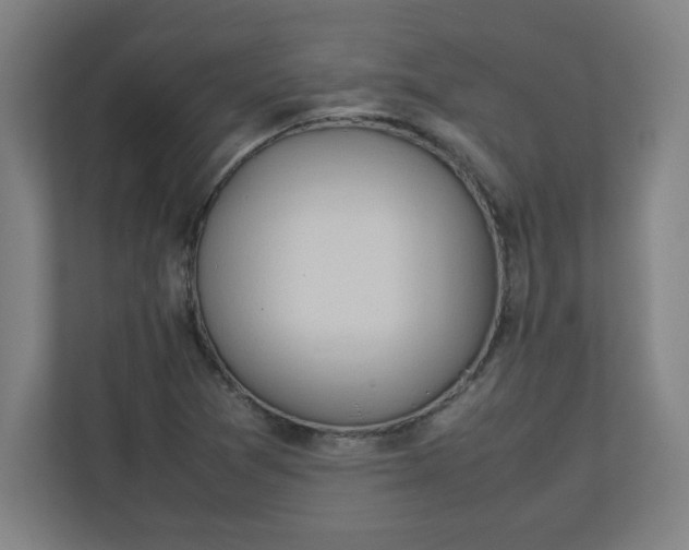 X0000111151361200907071100