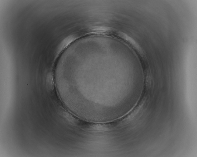 X0000111151362200907071100