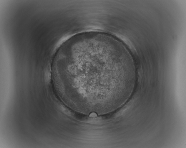 X0000111151363200907071100