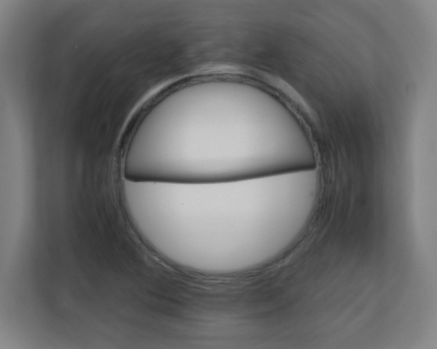 X0000111151364200907071100
