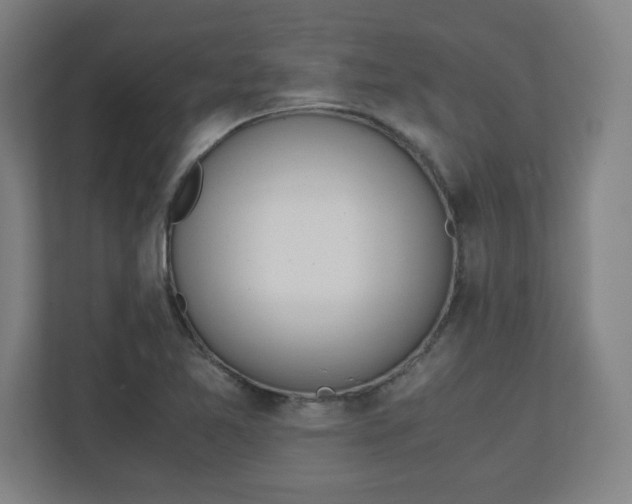 X0000111151365200907071100