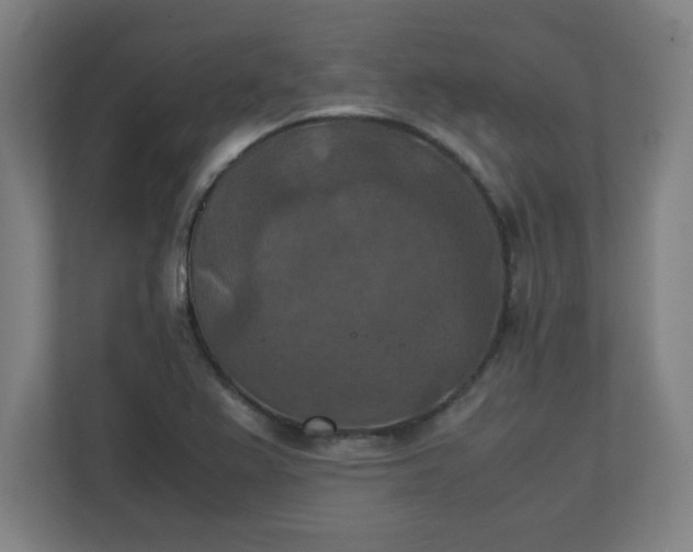 X0000111151367200907071100