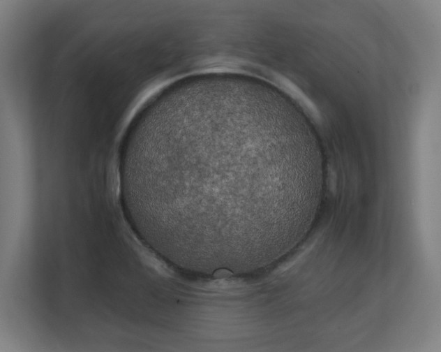 X0000111151368200907071100
