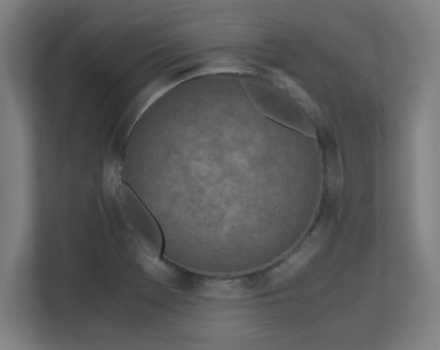 X0000111151369200907071100