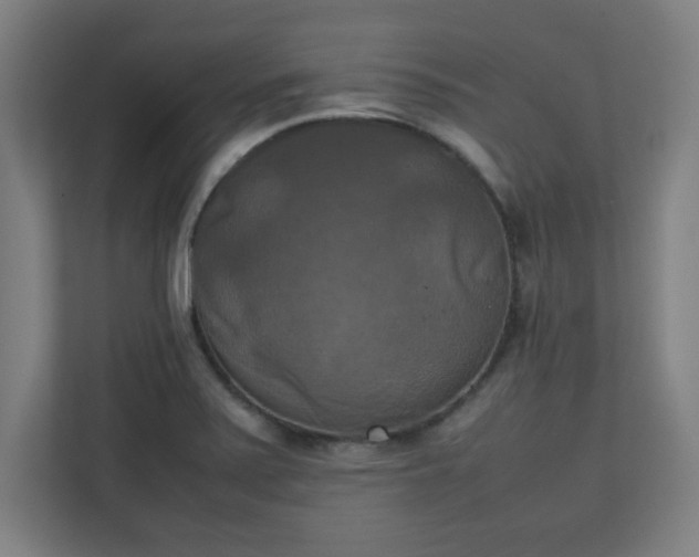 X0000111151371200907071100