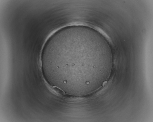X0000111151372200907071100