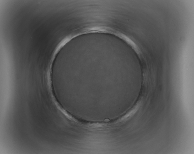 X0000111151373200907071100