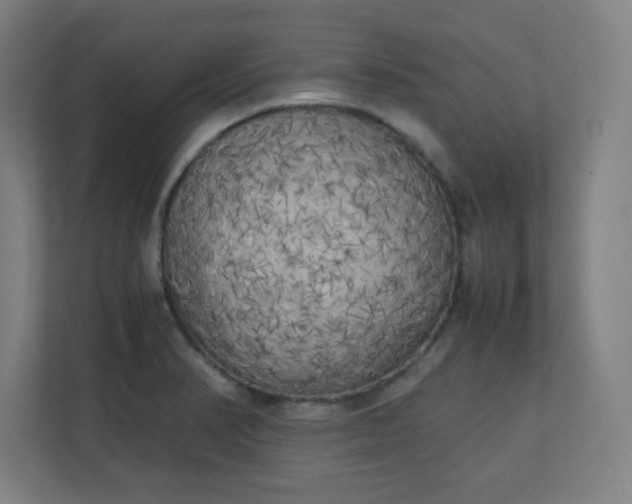 X0000111151374200907071100
